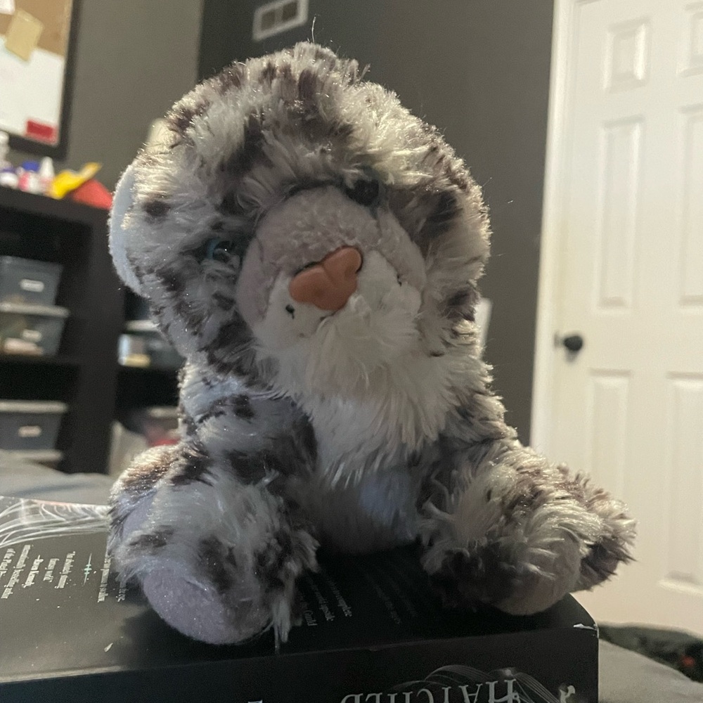 Cat stuffie